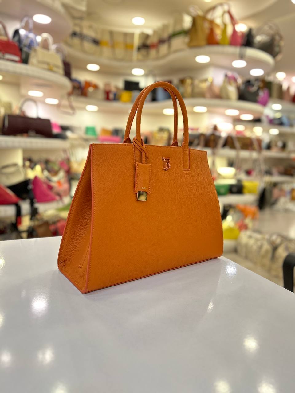 BURBERRY FRANCES BAG