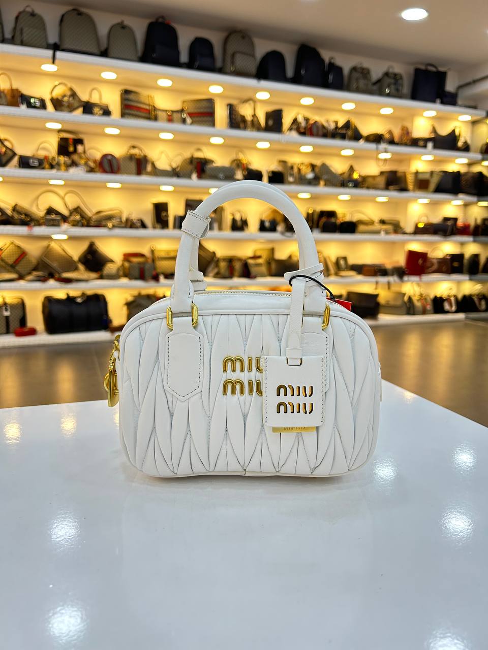 MIUMIU ARCADIE