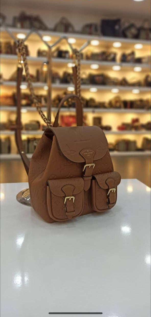 LOUIS VUITTON BACKBAG