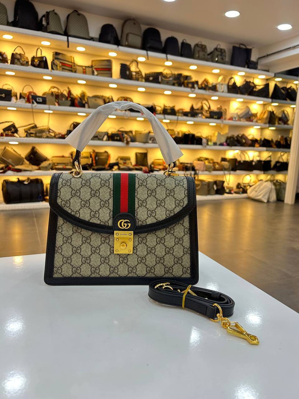 GUCCI OPHIDIA