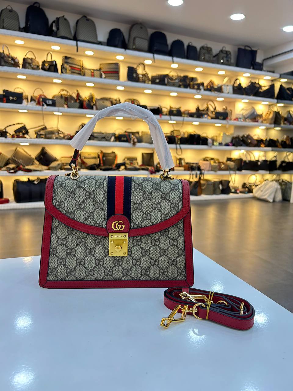 GUCCI OPHIDIA