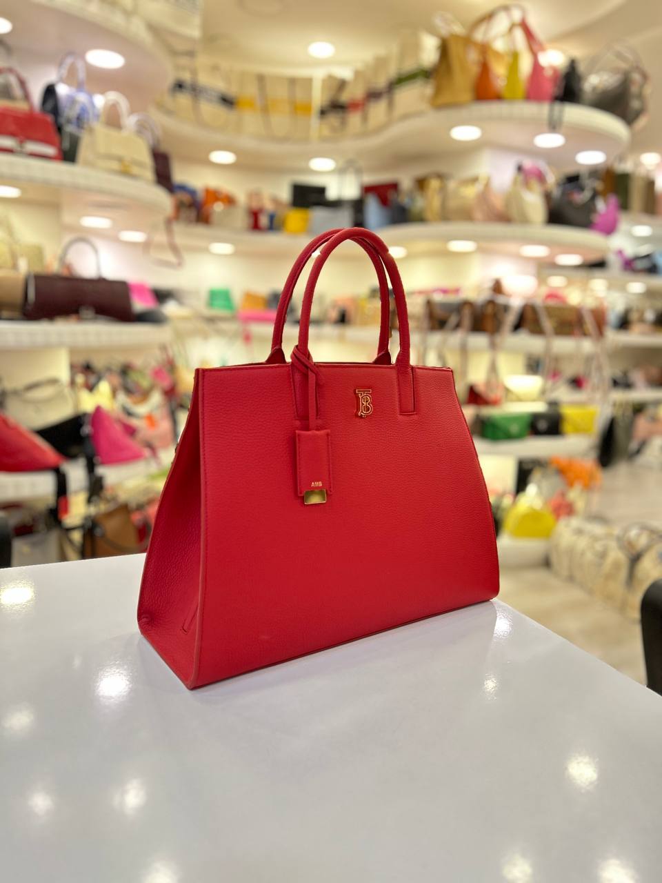 BURBERRY FRANCES BAG