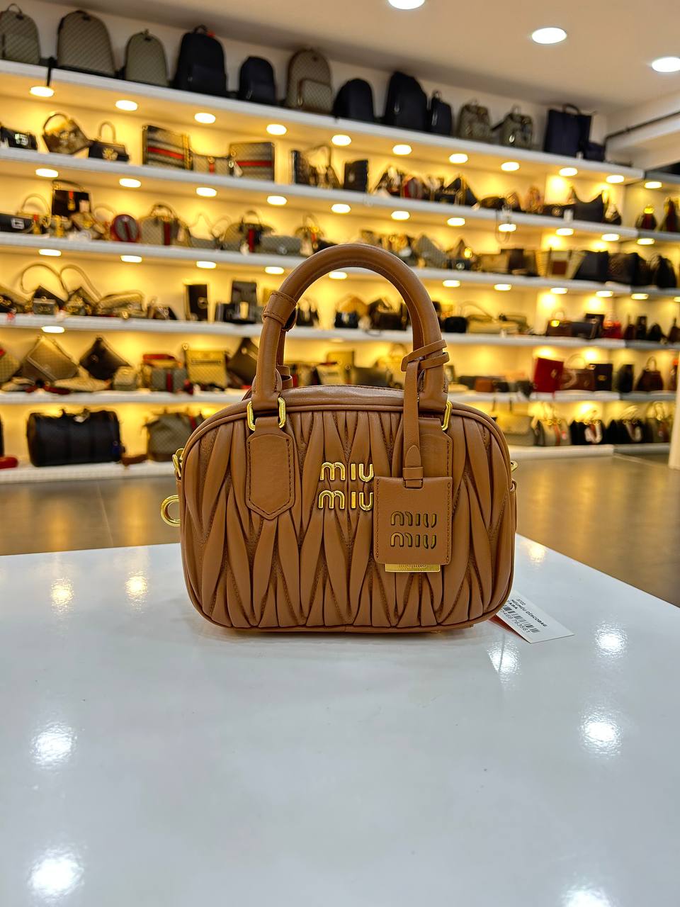 MIUMIU ARCADIE
